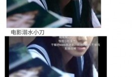 摆烂吃瓜娱乐圈文女主有哪些,娱乐圈摆烂女主的吃瓜日常